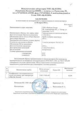 Заключение по термовкладышу